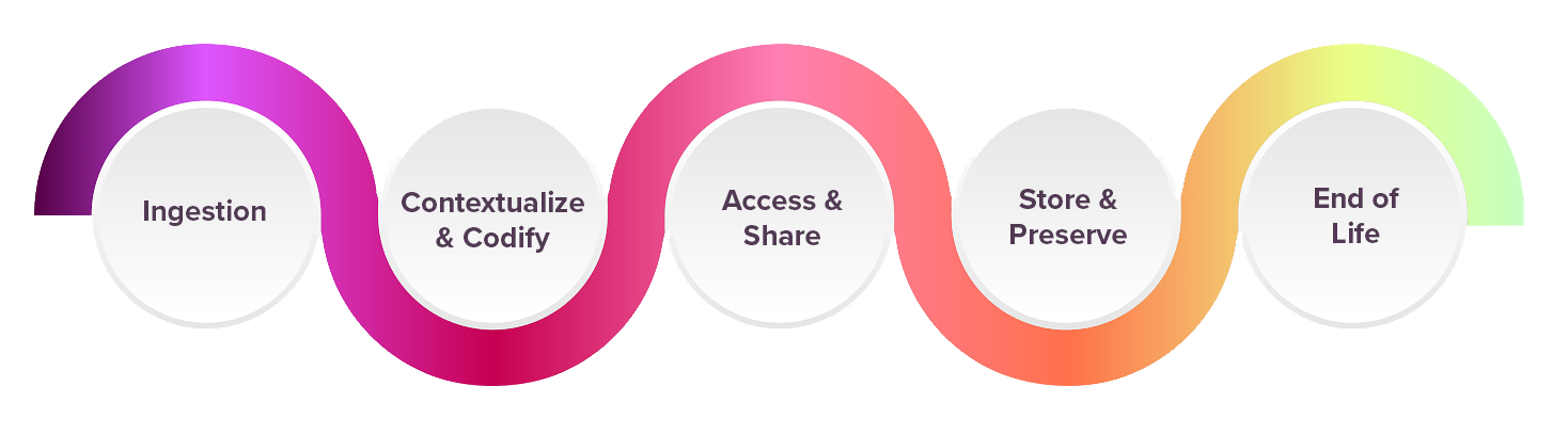 data-lifecycle-infographic